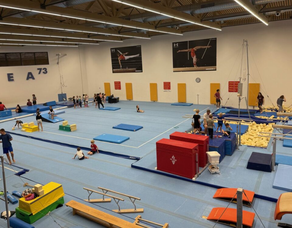 Český sport ztrácí dech: Kluby slábnou, trenéři i funkcionáři stárnou