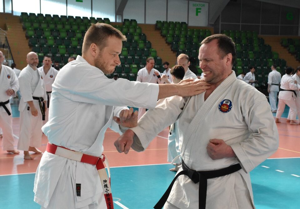 Stáž Okinawa Shorin-ryu Karate k příležitosti 45. výročí Shorin-ryu Karate v Polsku