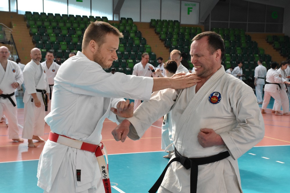 Stáž Okinawa Shorin-ryu Karate k příležitosti 45. výročí Shorin-ryu Karate v Polsku
